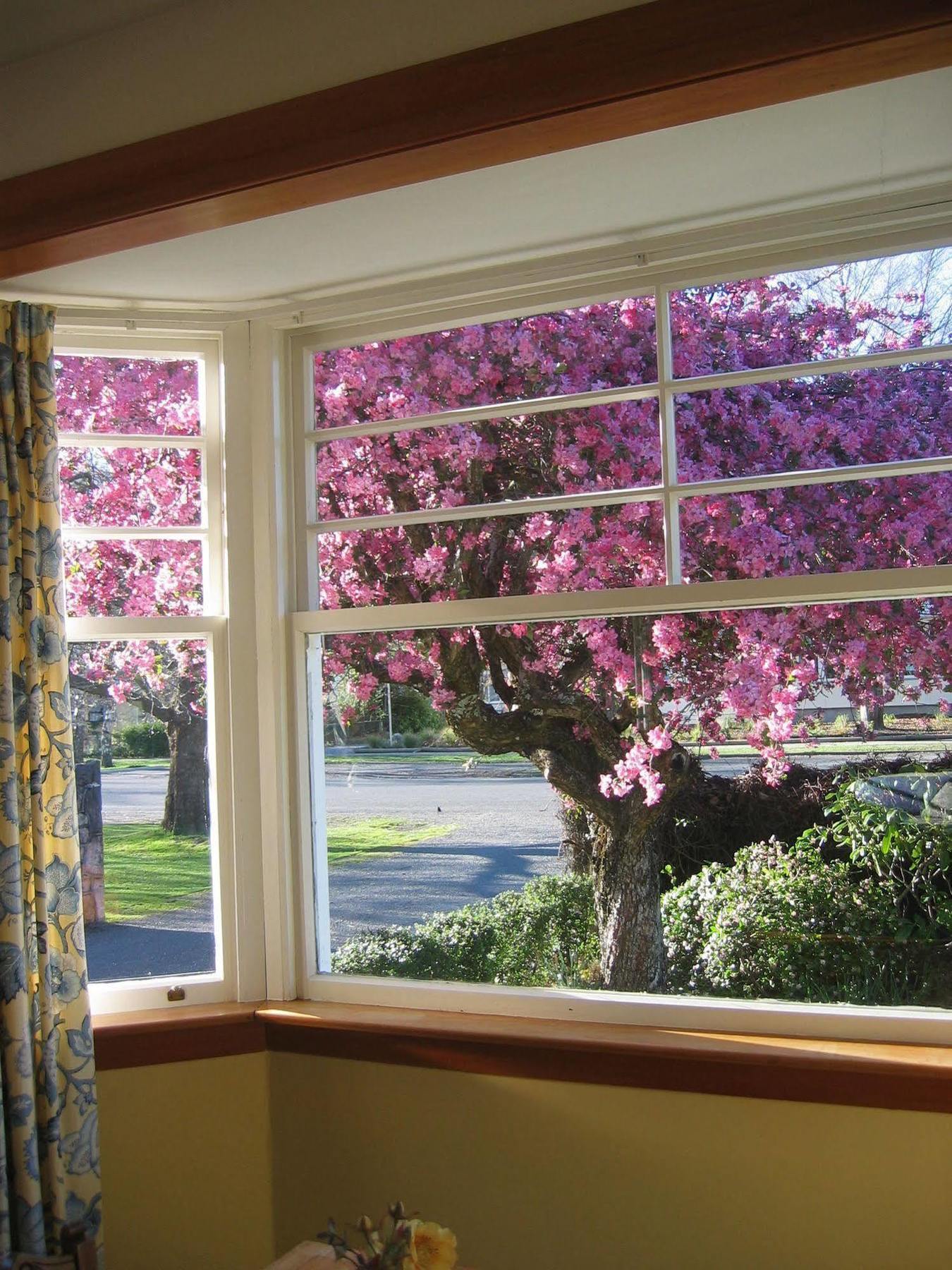 Cheltenham House Hanmer Springs Ngoại thất bức ảnh